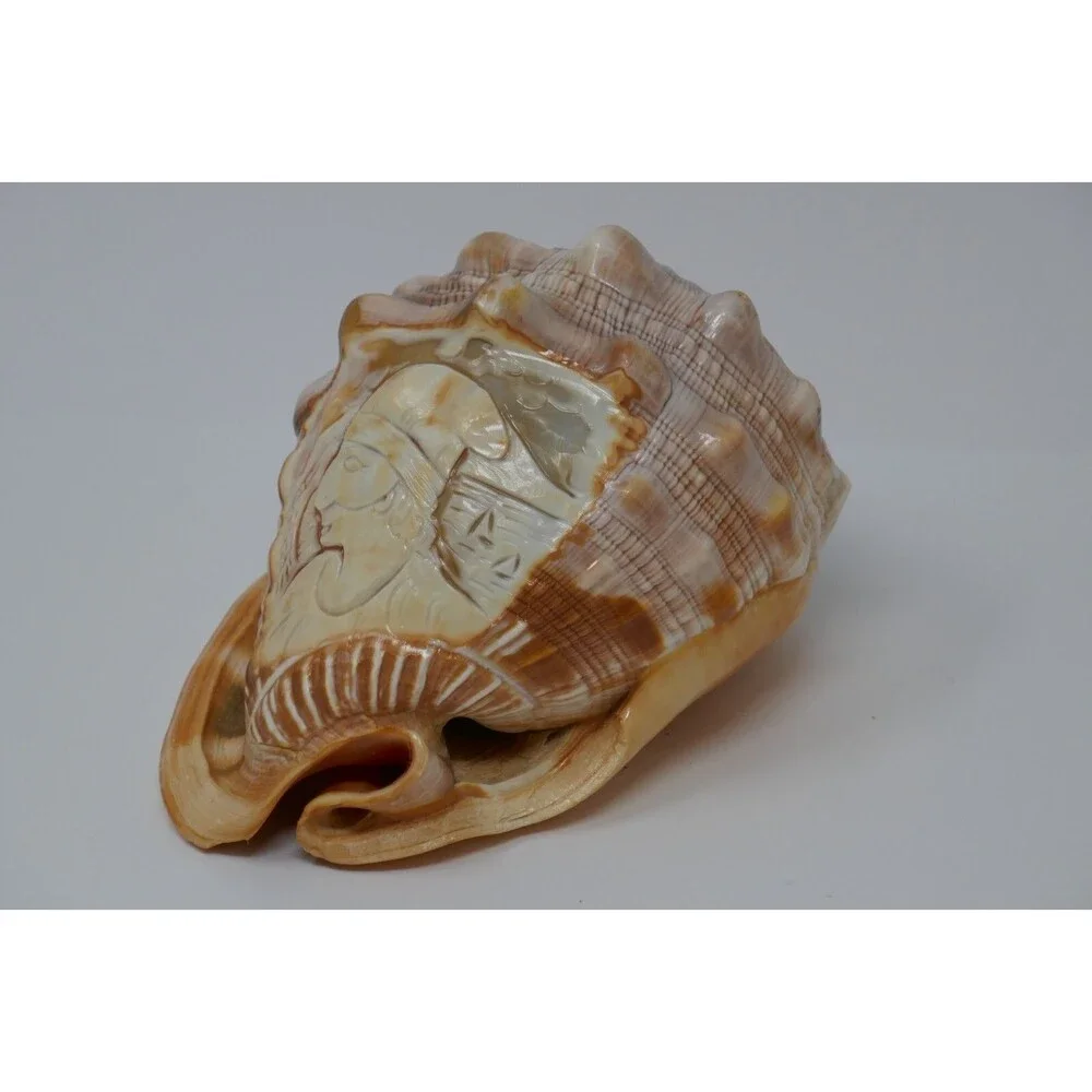 Carved Cameo Helmet Conch Shell Seashell Masquerade Masked Man